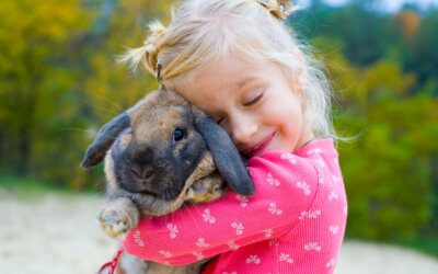 Por que ensinar as crianças a amar os animais?